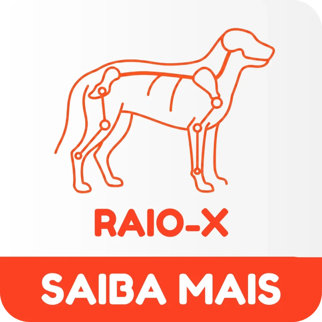 raiox pet