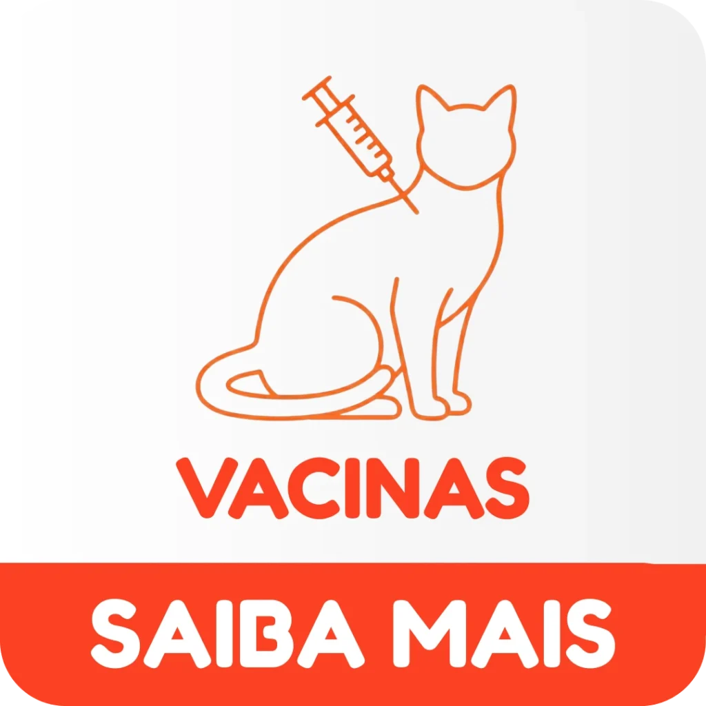 vacinacao gato